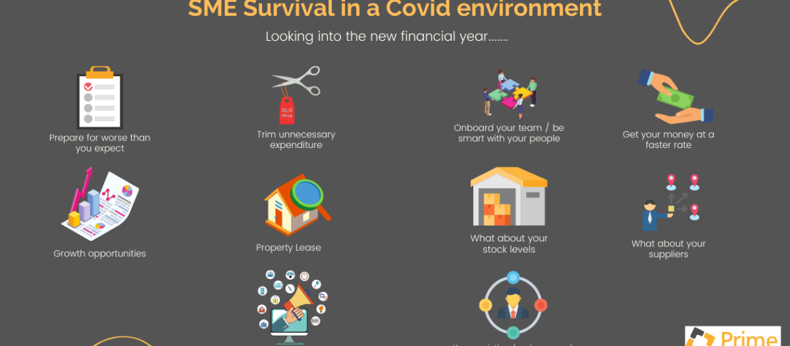 Copy of SME Survival in a Covid environment (1)